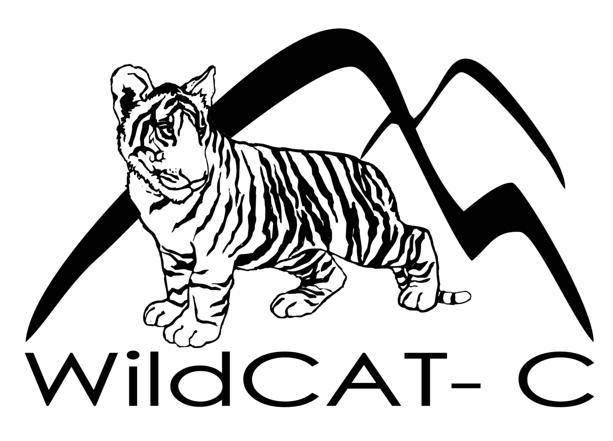 blog-wildcat-c